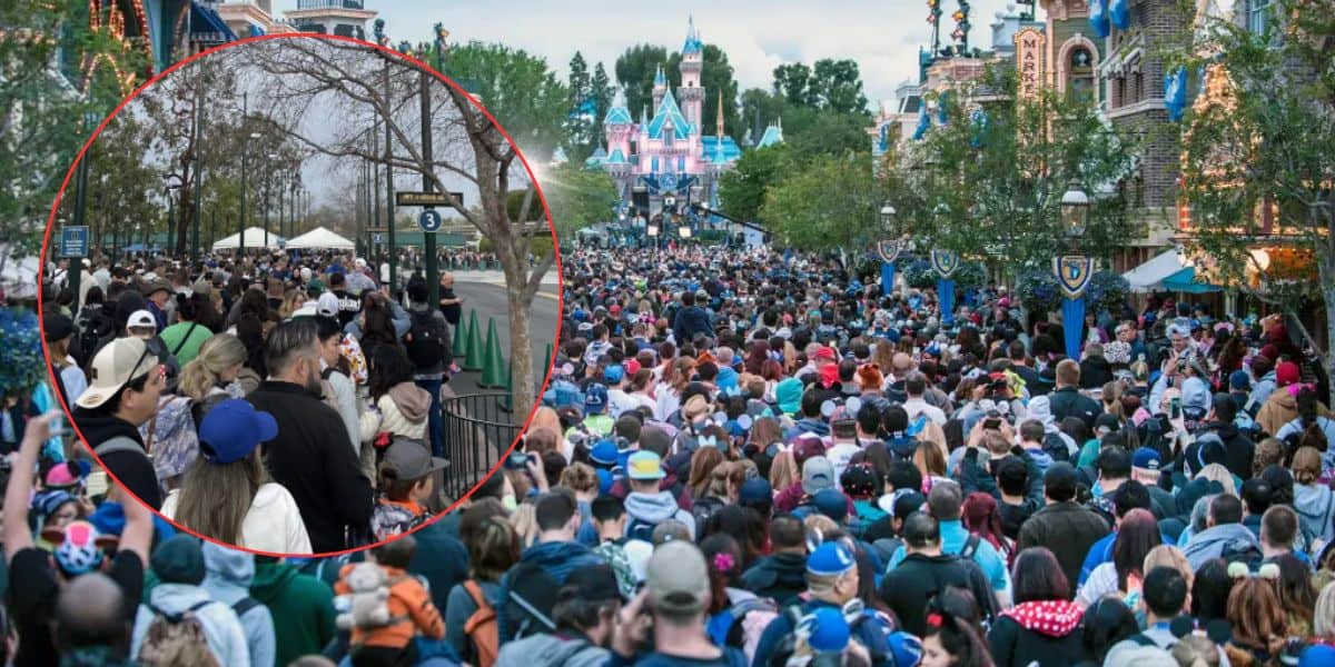 A large crowd fills a pathway at Disneyland, with many people walking toward Sleeping Beauty Castle. An inset shows a closer view of guests at Disneyland Park waiting in a long line near a signpost and trees.