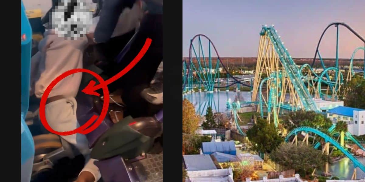 Left: Rider’s seatbelt looks unfastened on a thrill ride; Right: vibrant roller coaster soaring at SeaWorld Orlando Park's Mako roller coaster. Orlando theme park incident.