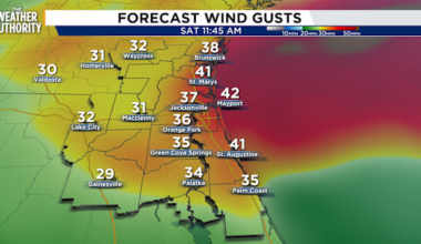 Windy Weekend Brings Marine Hazards and Rip Currents
