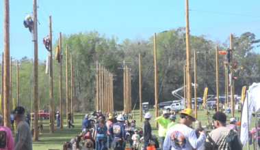Hundreds compete in annual Florida Lineman Competition