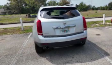 Arrest made after car break-ins in Apopka