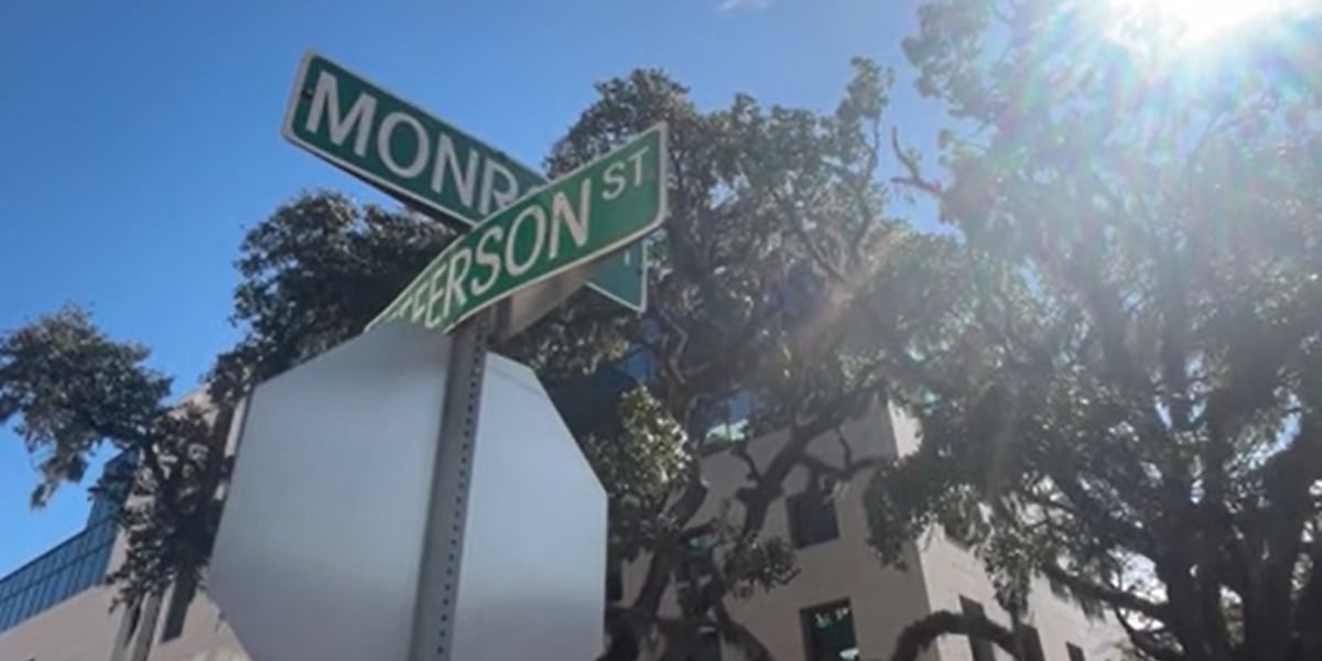 Leon County voters could decide who sets street renaming rules