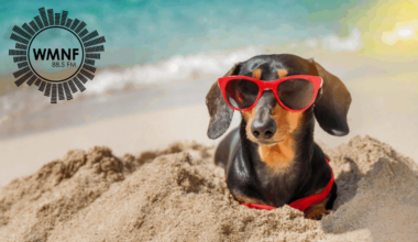 Tampa Bay Weekend Guide: Live Shows This Weekend