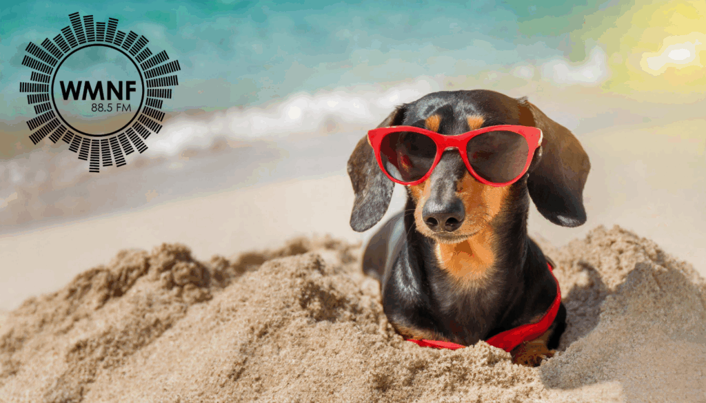 Tampa Bay Weekend Guide: Live Shows This Weekend