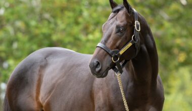 Yaupon Firster Emblaze Fires Late To Graduate at Tampa