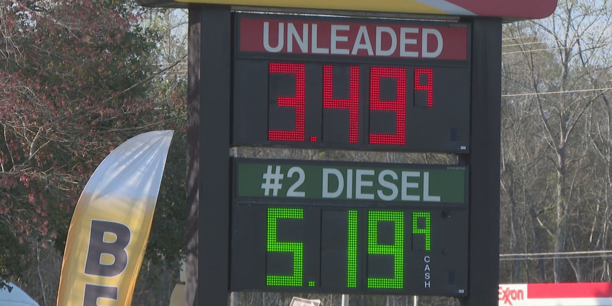 Diesel prices exceed $5 in Tallahassee