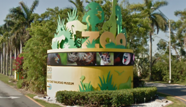 Zoo Miami remains closed after 2nd bomb threat, all clear given, officials say – NBC 6 South Florida