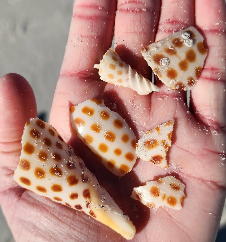 Yahoo lifestyle home