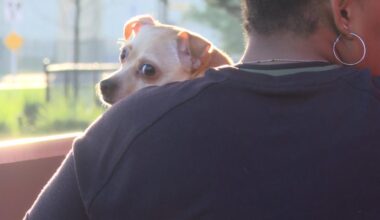 140 Jacksonville dogs and cats receive free vet care at ACPS event