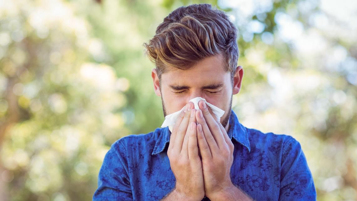 This Tampa Bay-area city is one of the top 20 allergy capitals of the US