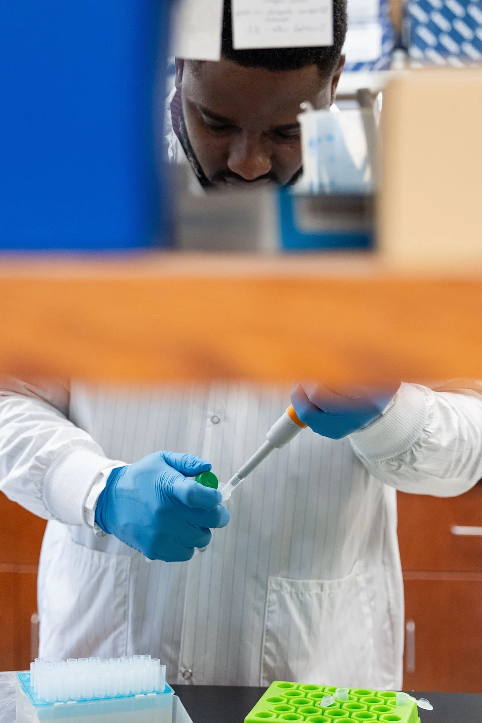 Florida State University graduate student Samuel Kwawukume conducts a test on shrimp to determine if the sample is imported or domestic shrimp Wednesday, Feb. 25, 2026.