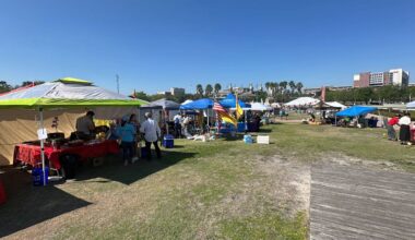Tampa Asian Pacific Islander Cultural Festival returns