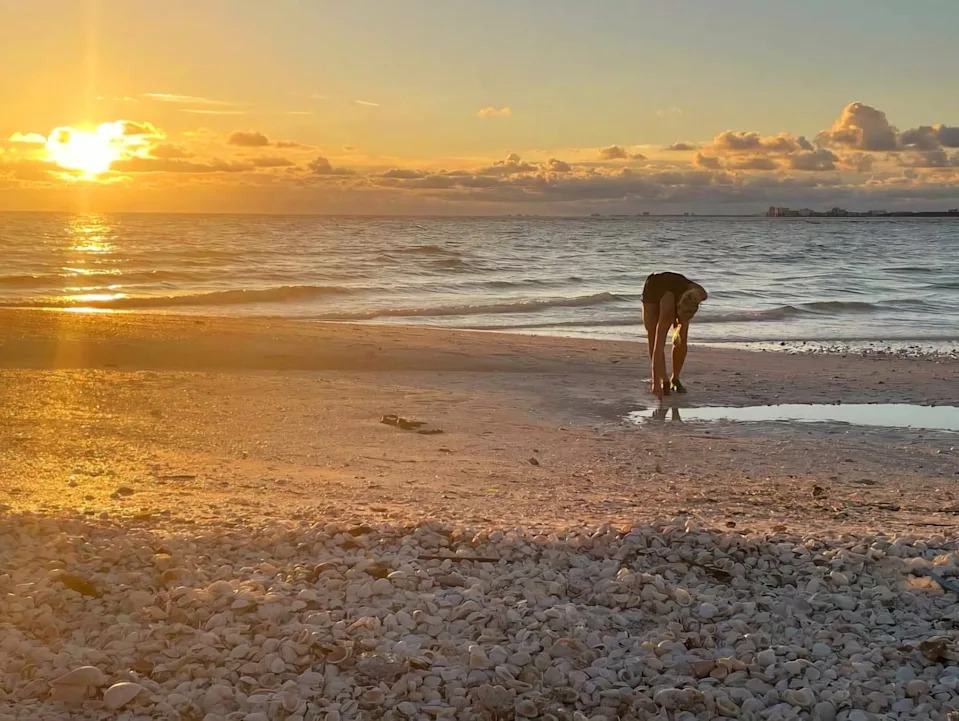 Sheller Sara Breault, seen here looking for shells, said her favorite SW Florida beaches include: Keewaydin (Naples), Cayo Costa, Captiva, Sanibel (Algiers) and the 10,000 Islands, in particular Kice and Dickmans islands.