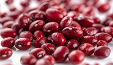 South Florida "miracle fruit" helps cancer patients manage chemo taste changes