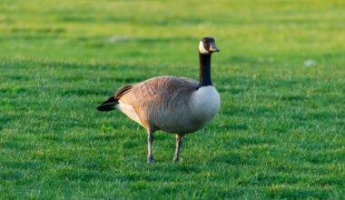 Yahoo lifestyle home