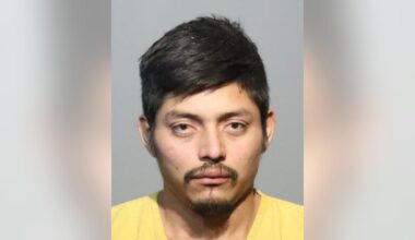 FHP: Unlicensed driver suspected of DUI found hiding in woods after hitting motorcycle on I-4