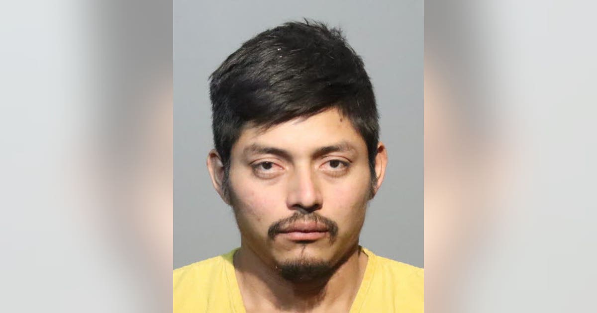 FHP: Unlicensed driver suspected of DUI found hiding in woods after hitting motorcycle on I-4