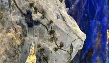 Etty Yaniv Making Waves In Tampa’s Experimental OXH Gallery