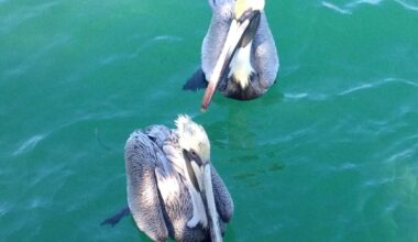 What $400,000 buys at Jersey Shore vs Florida in 2026