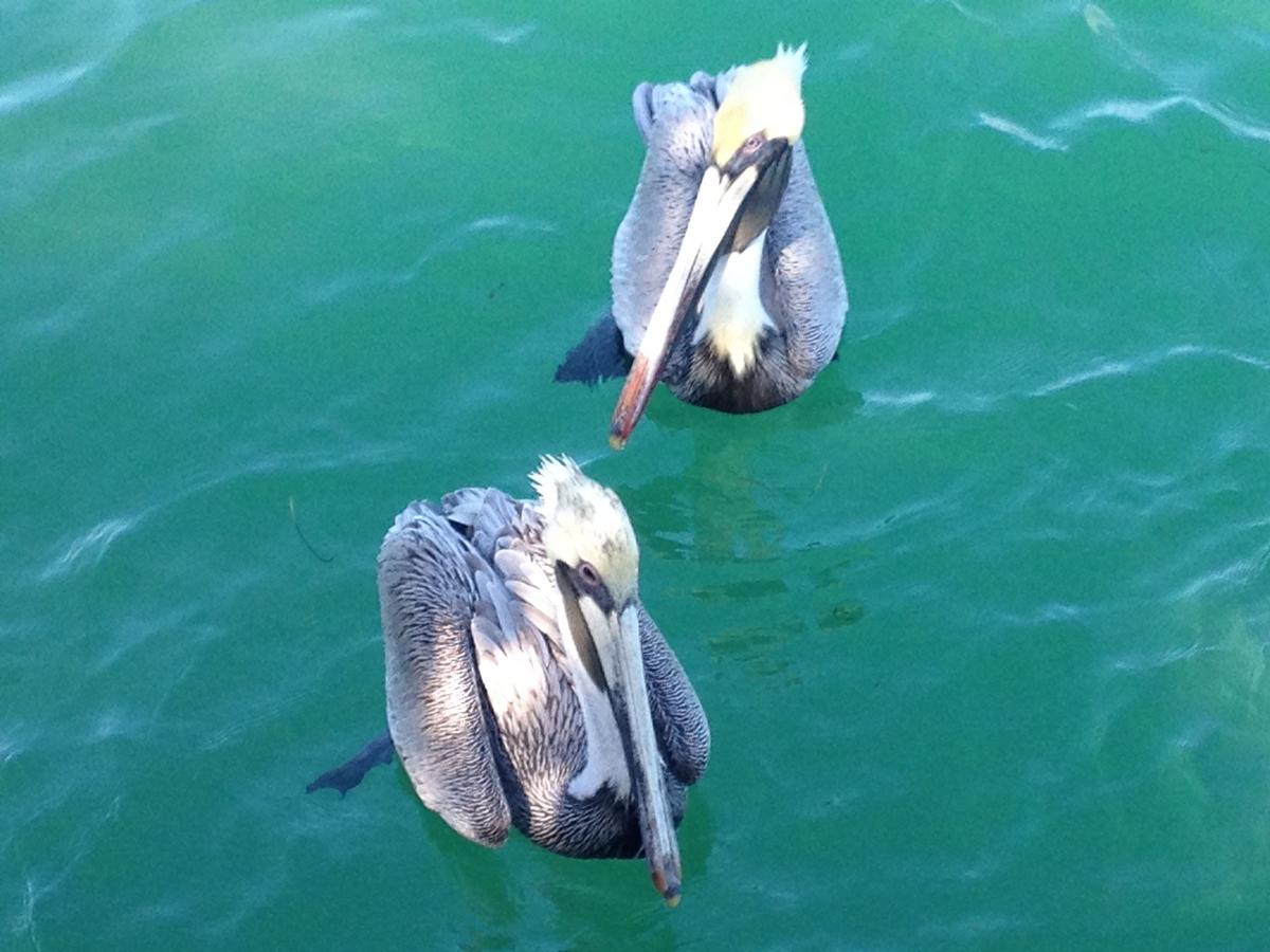 What $400,000 buys at Jersey Shore vs Florida in 2026