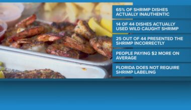 Study: 65% of shrimp dishes in Jacksonville presented as having Mayport shrimp not authentic