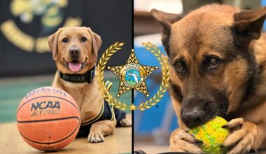 Northeast Florida agencies compete for Top Dog title in state's K9 March Madness