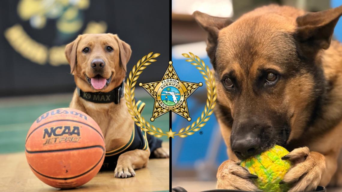 Northeast Florida agencies compete for Top Dog title in state's K9 March Madness