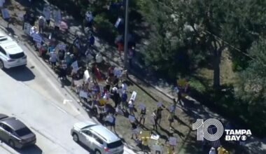 'No Kings' protest takes place in St. Petersburg, Florida