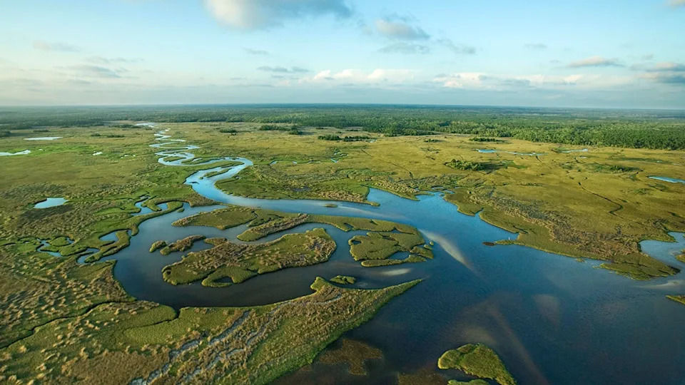 Aerial view florida everglades green marshland blue winding river