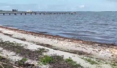 Body found along Florida shoreline prompts investigation