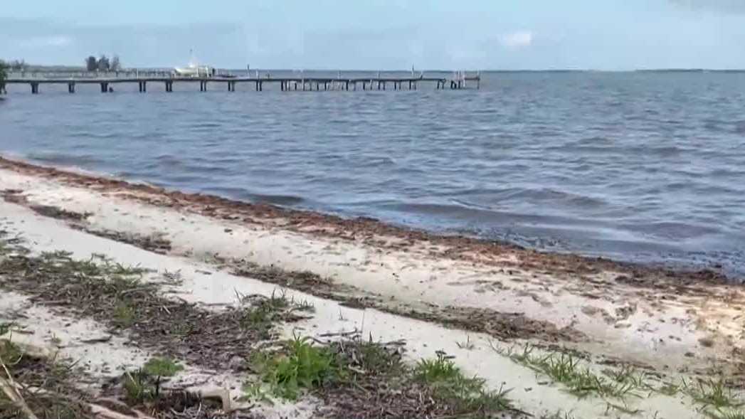 Body found along Florida shoreline prompts investigation