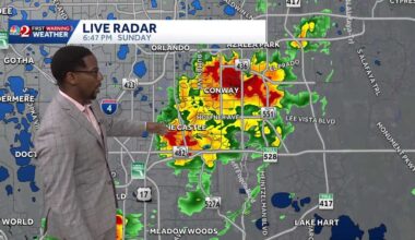 Sea Breeze Collisions Spark Storms and Showers in Central Florida