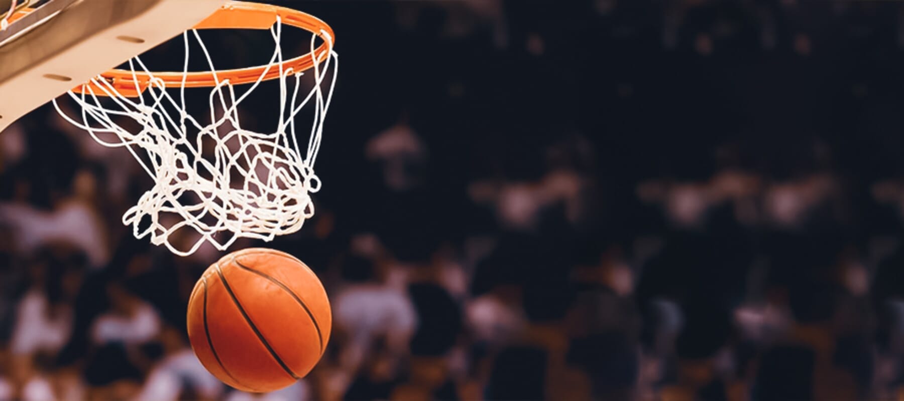 Jacksonville vs Bellarmine Prediction, Picks & Odds