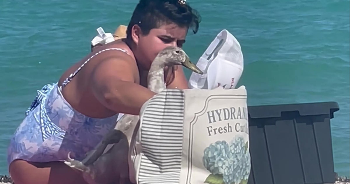 Video: Florida woman brings pet duck to the beach