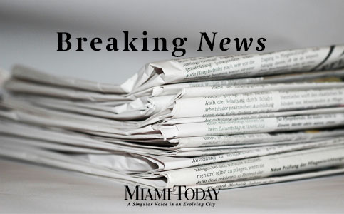 Miami-Dade puts wetlands growth limits up for grabs