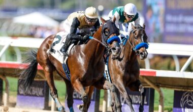 2026 Tampa Bay Derby prediction, odds, time, picks from elite horse racing expert