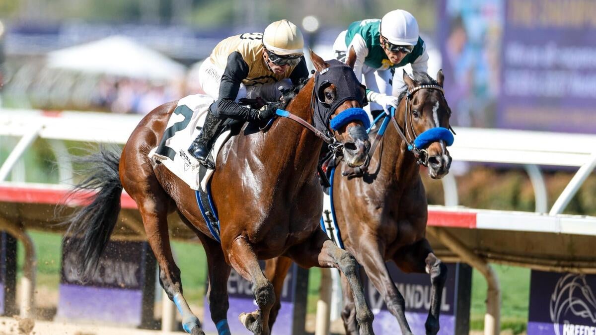 2026 Tampa Bay Derby prediction, odds, time, picks from elite horse racing expert