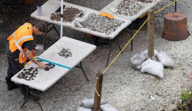 Miami’s ancient Indigenous sites face an uncertain future - The Art Newspaper