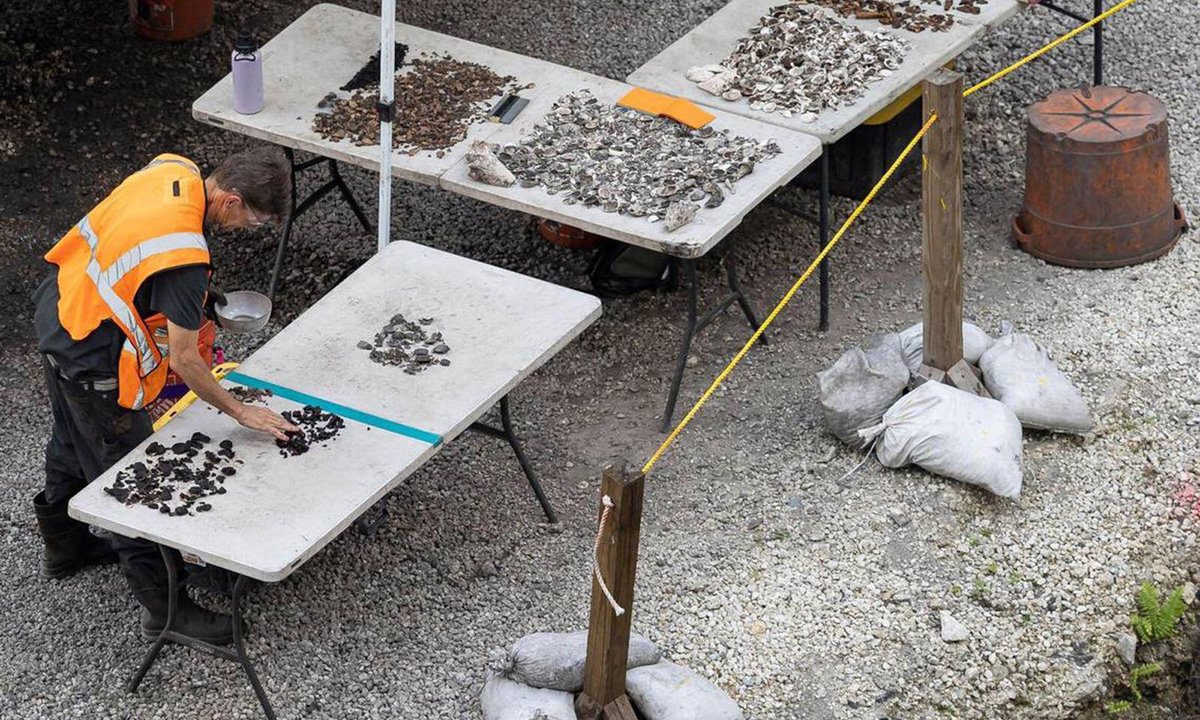 Miami’s ancient Indigenous sites face an uncertain future - The Art Newspaper