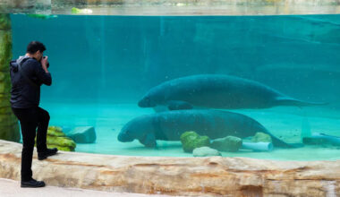 Yahoo lifestyle home