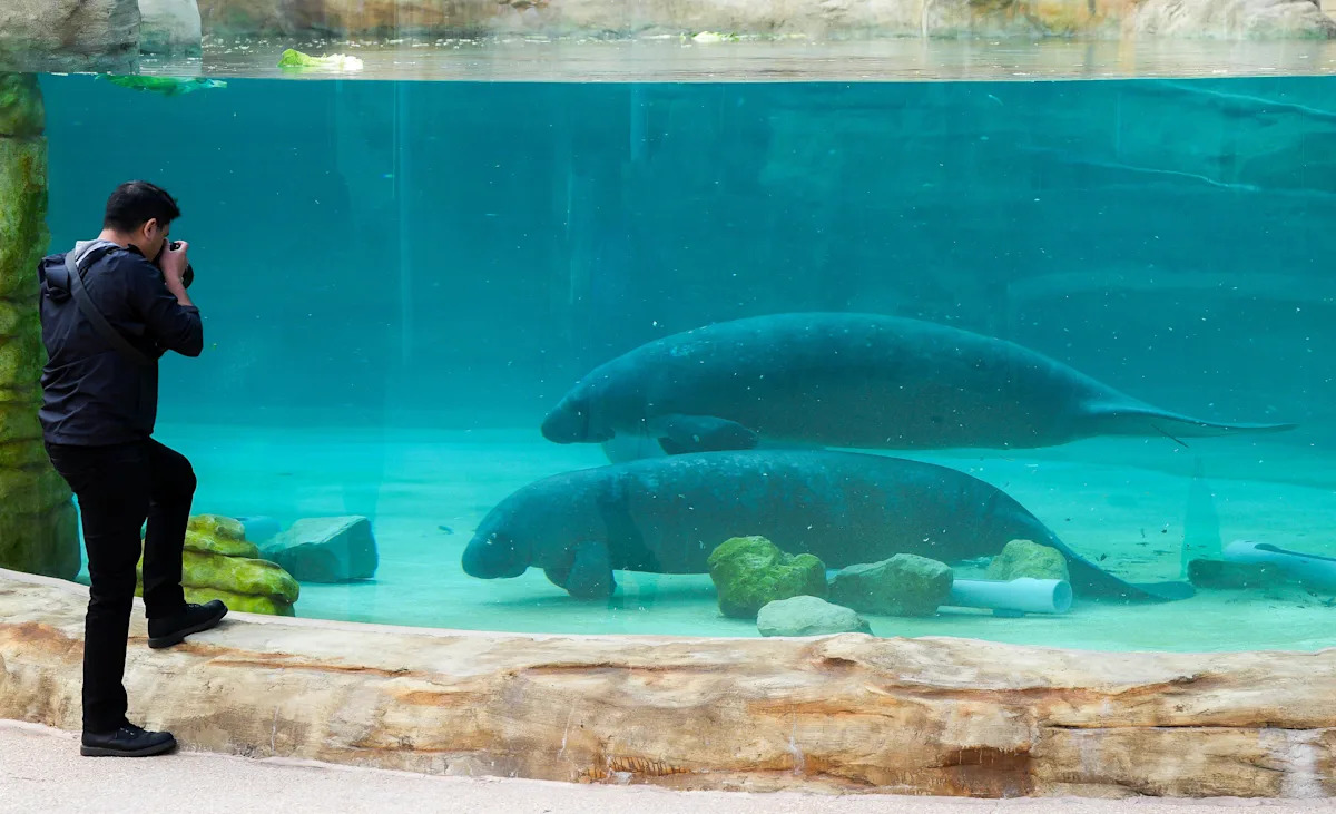 Yahoo lifestyle home