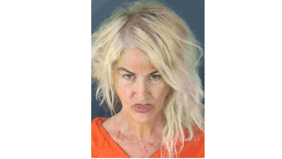 Shannon R. Giblin (Photo: Sarasota County Sheriff's Office)