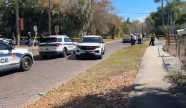 Teen boy, adult woman shot in St. Pete; 1 person in custody