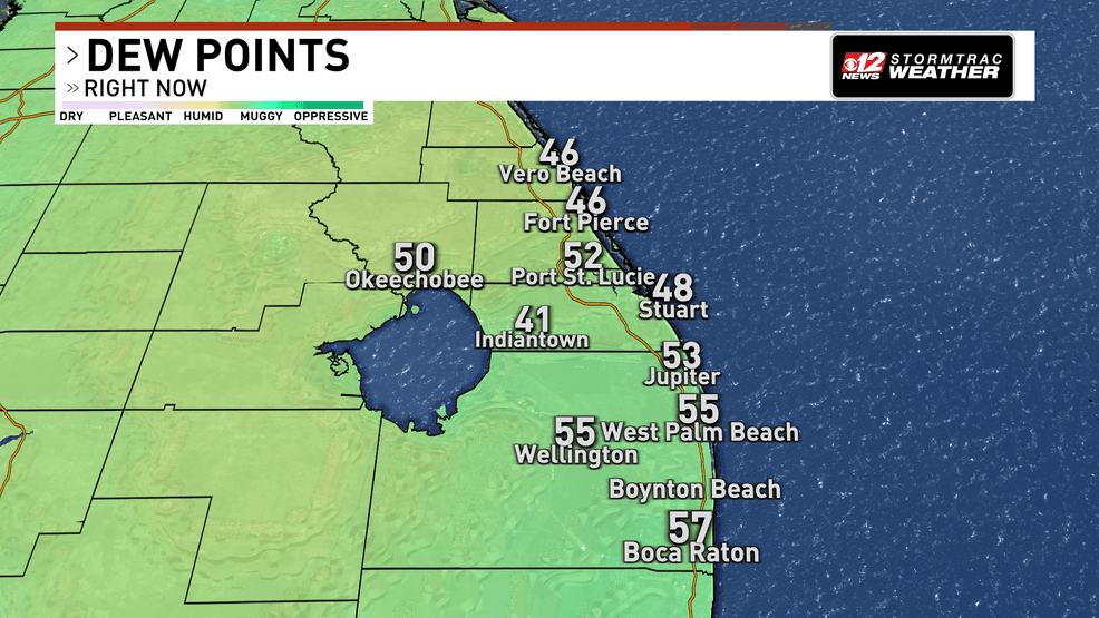 Dry air raises fire concerns as South Florida continues to warm. (WPEC)