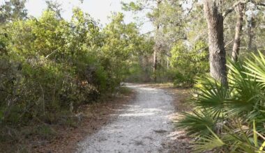 Letter urges Florida lawmakers to invest more into state parks