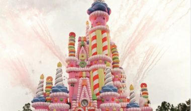 5 Unspoken Rules Every 90s Kid Follows in Magic Kingdom