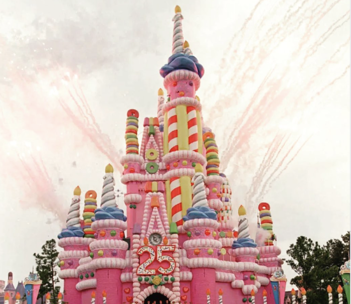 5 Unspoken Rules Every 90s Kid Follows in Magic Kingdom