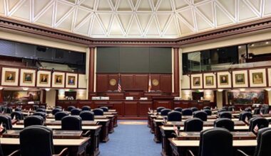 Florida introduces dozens of domestic violence bills, as cases rise in the state, experts call it "a deadly epidemic"