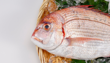 Miami Gardens man cited for illegal mangrove snapper near Islamorada bridge