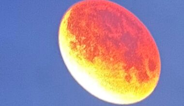 Blood moon during lunar eclipse gives South Florida a beautiful show. Check out some photos